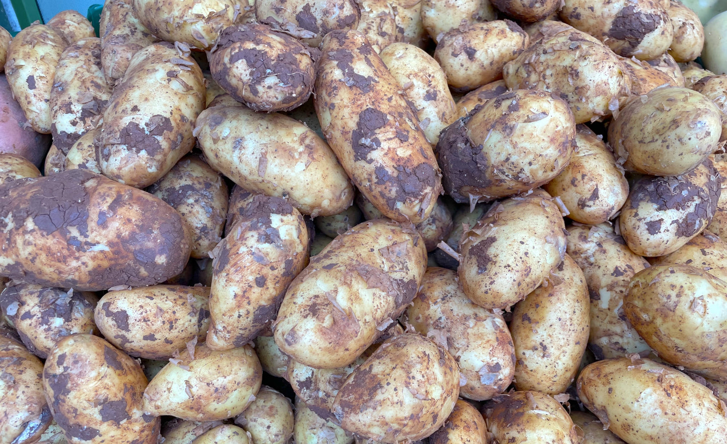 Cyprus Potatoes 500g