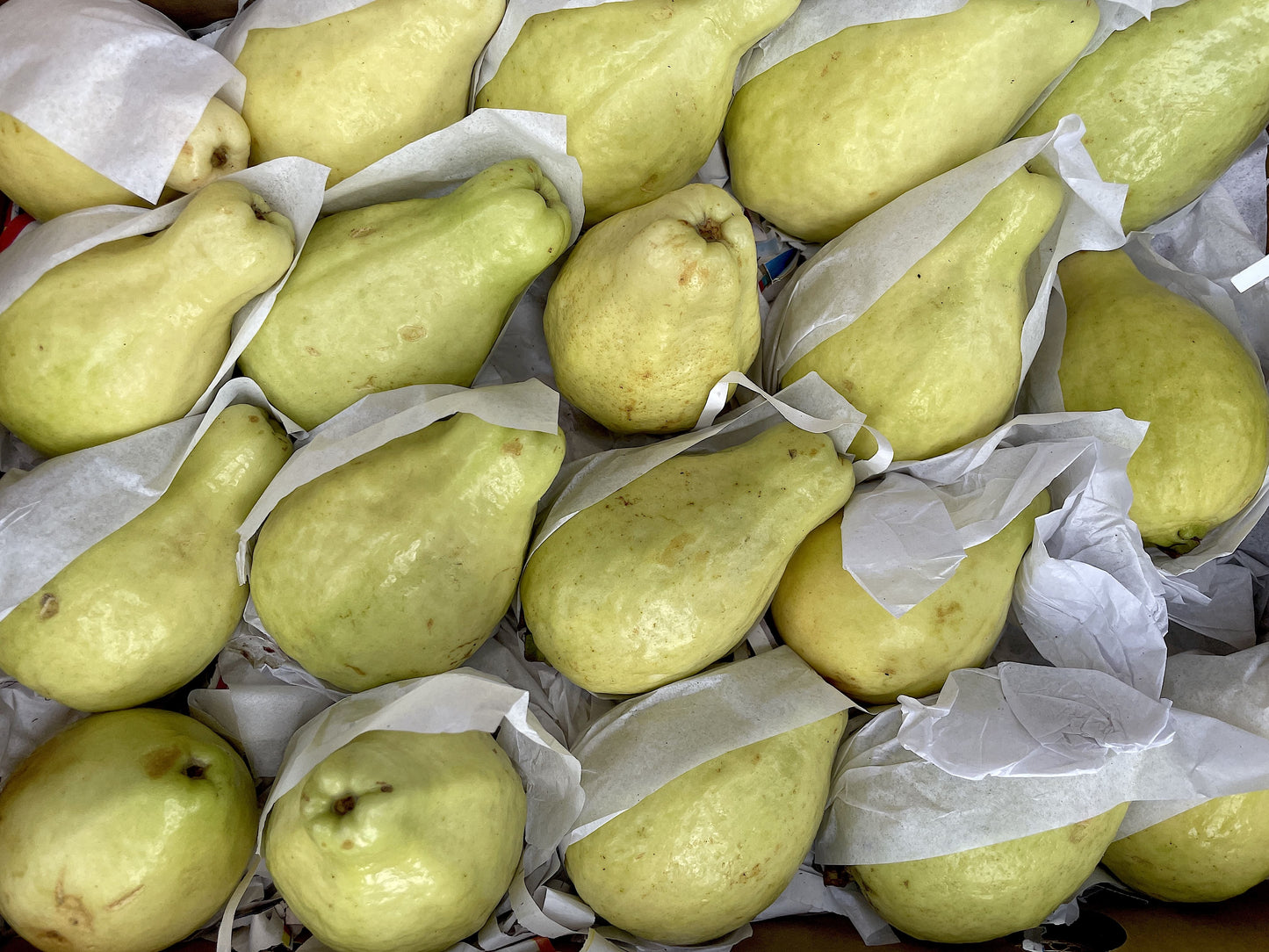 Guava 500g