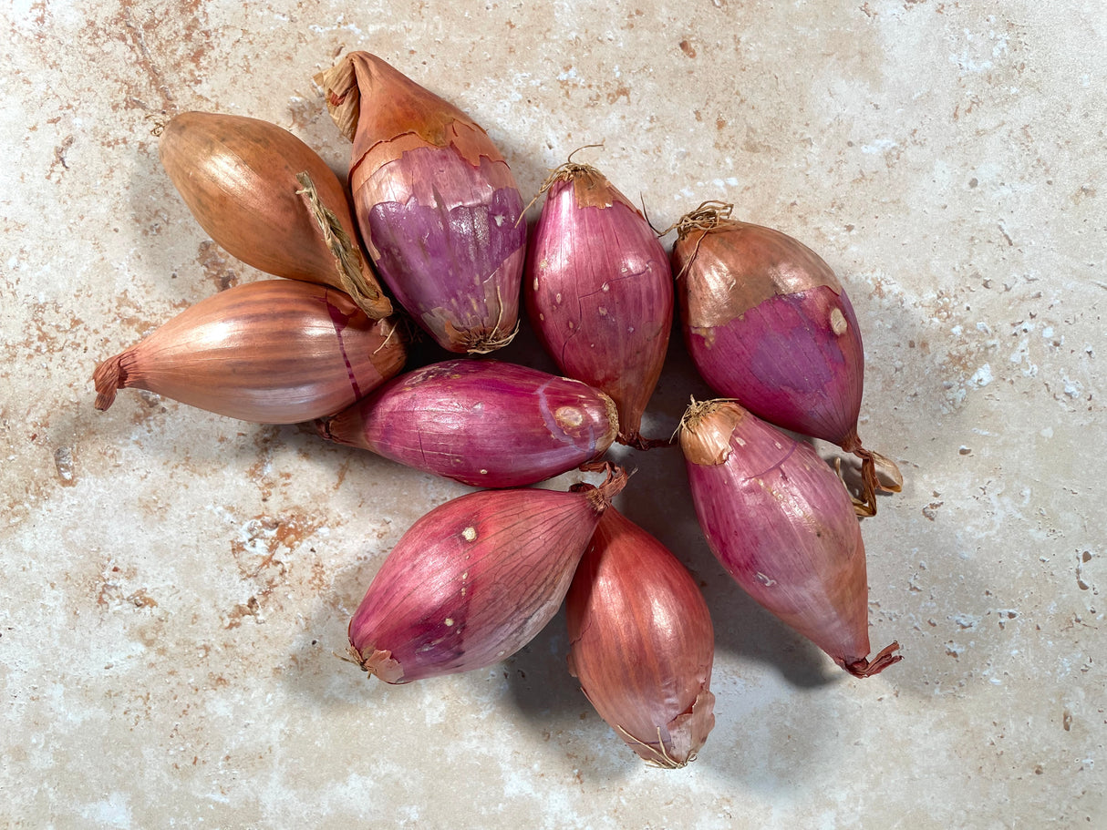Shallot Onion 500g