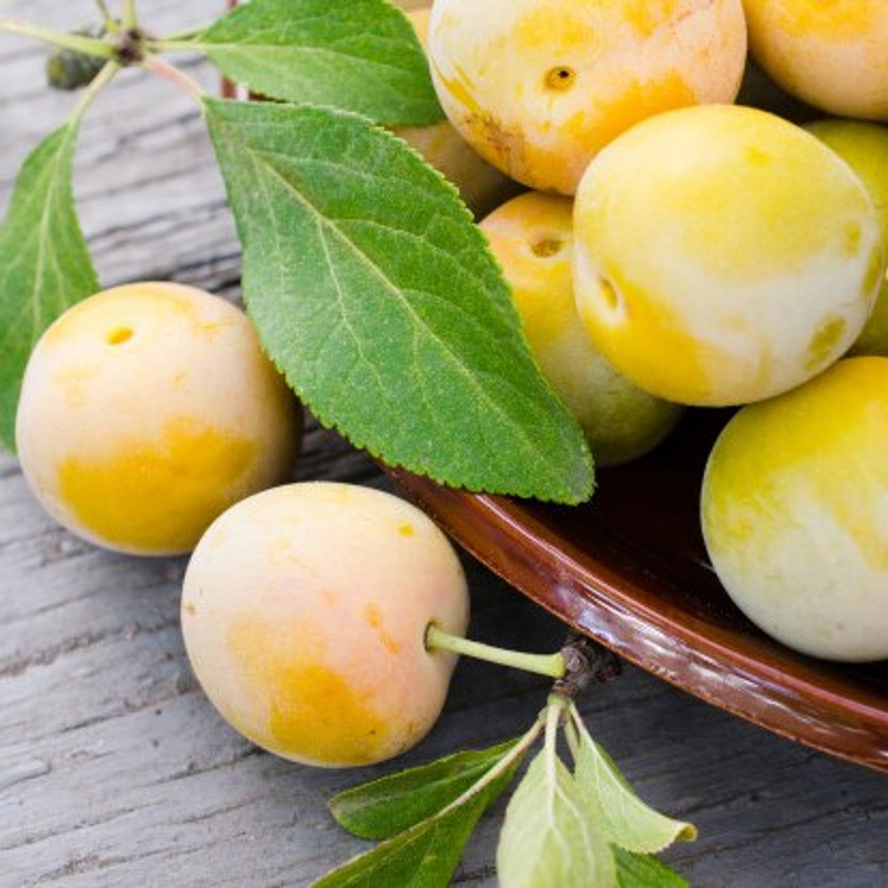 Yellow Plum 500g