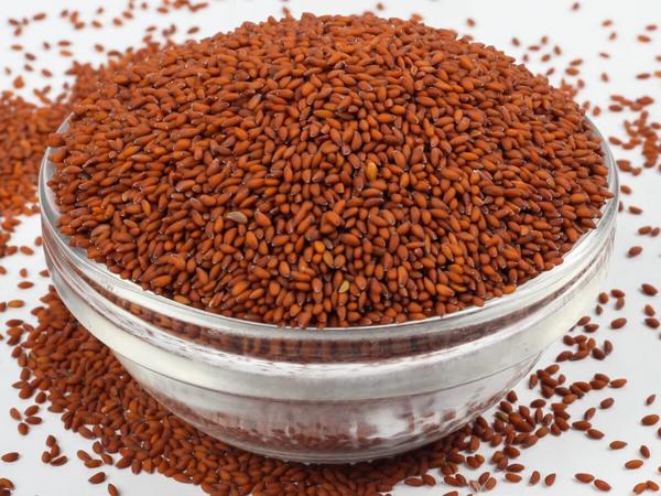 Casbash Spices Watercress Seeds 185g