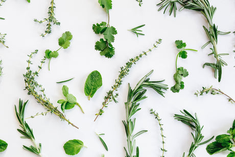 Fresh Herbs