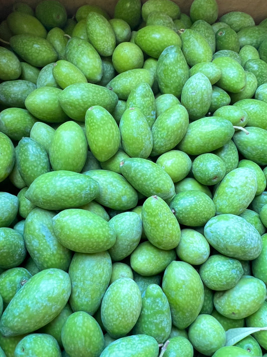 Fresh Green Olives Italy 1kg