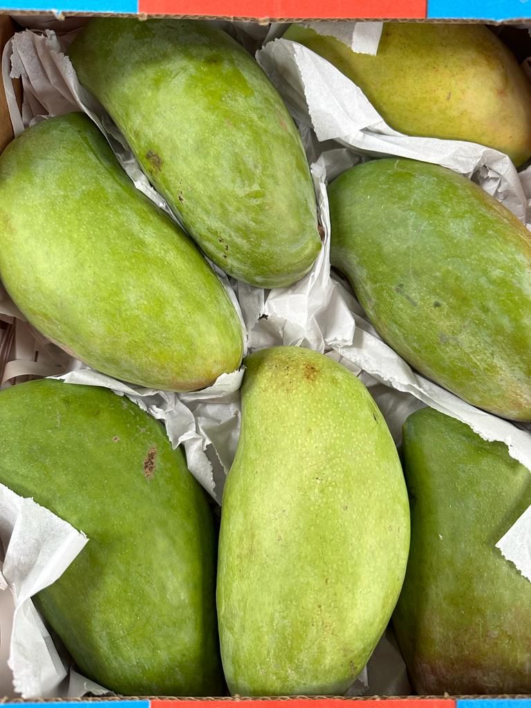 Egyptian mango Seddika APX 3kg