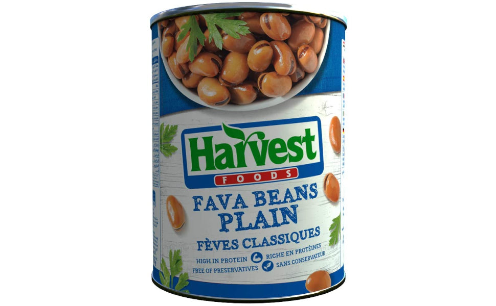 Harvest Fava Beans Plain 400g