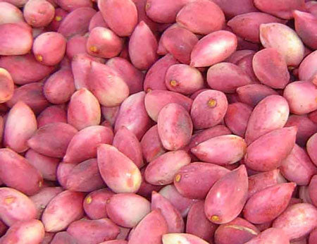 Fresh pistachio 500g