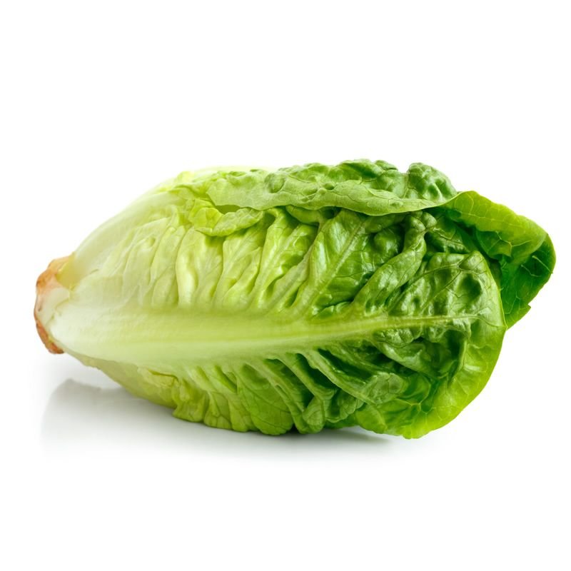 Gem Lettuce pack of 2