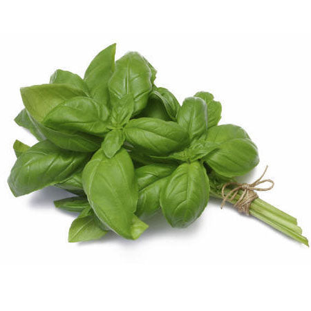 Basil 50g