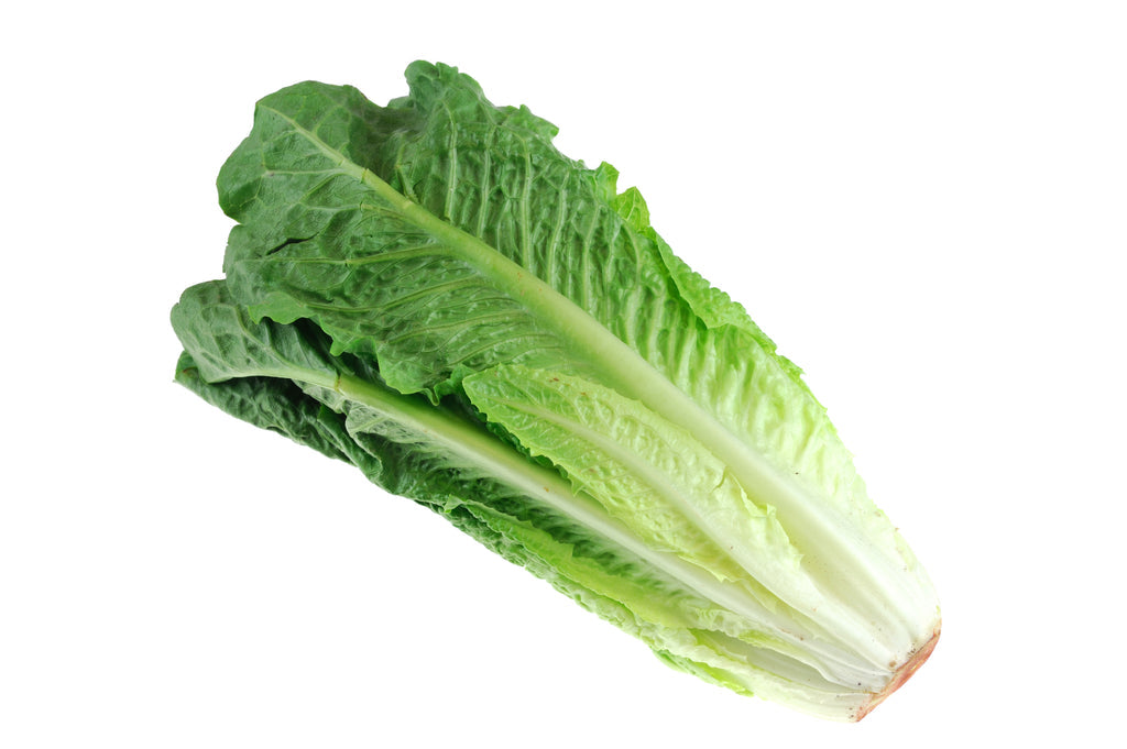 Romaine Lettuce Each