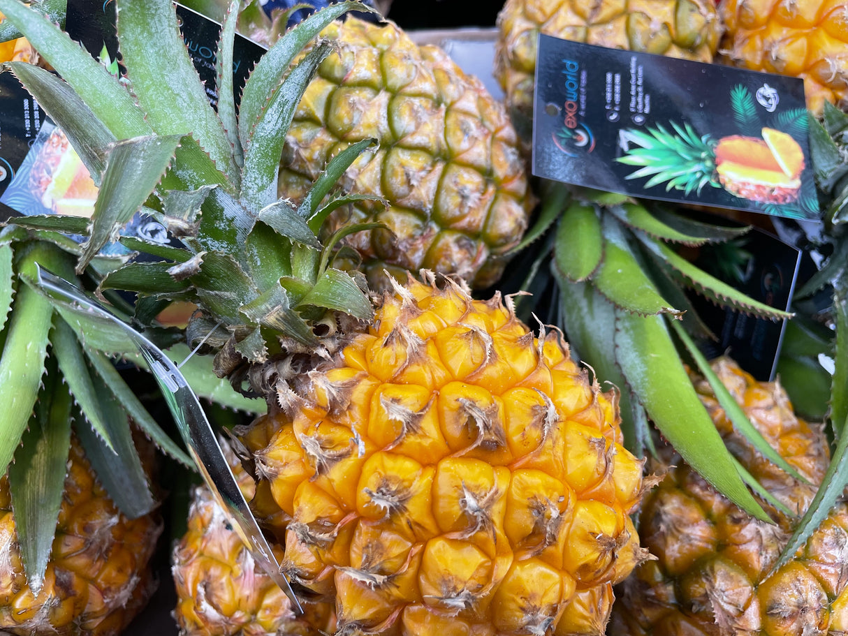 Baby Pineapple Each