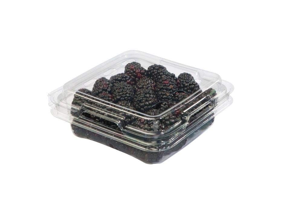 Blackberry Pack