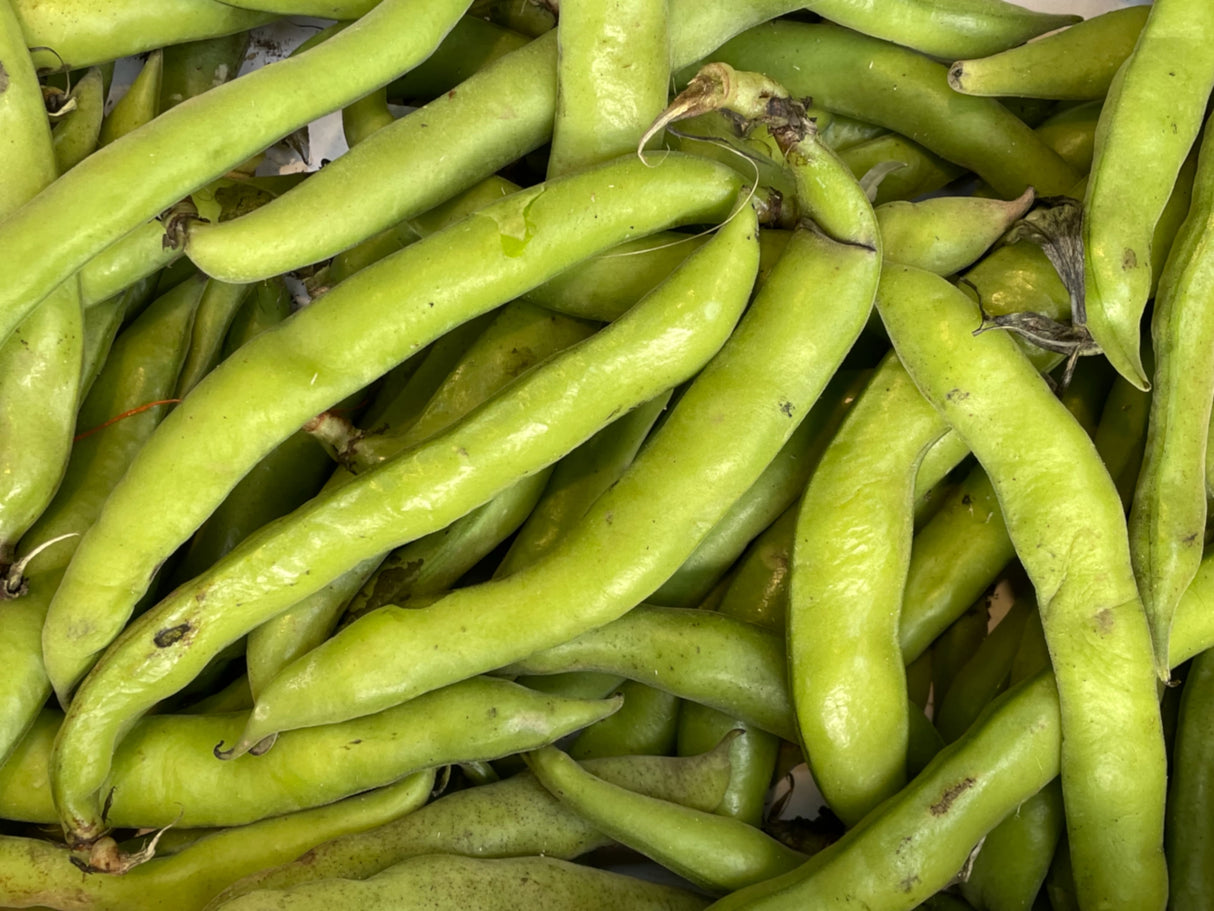 Broad Beans 500g