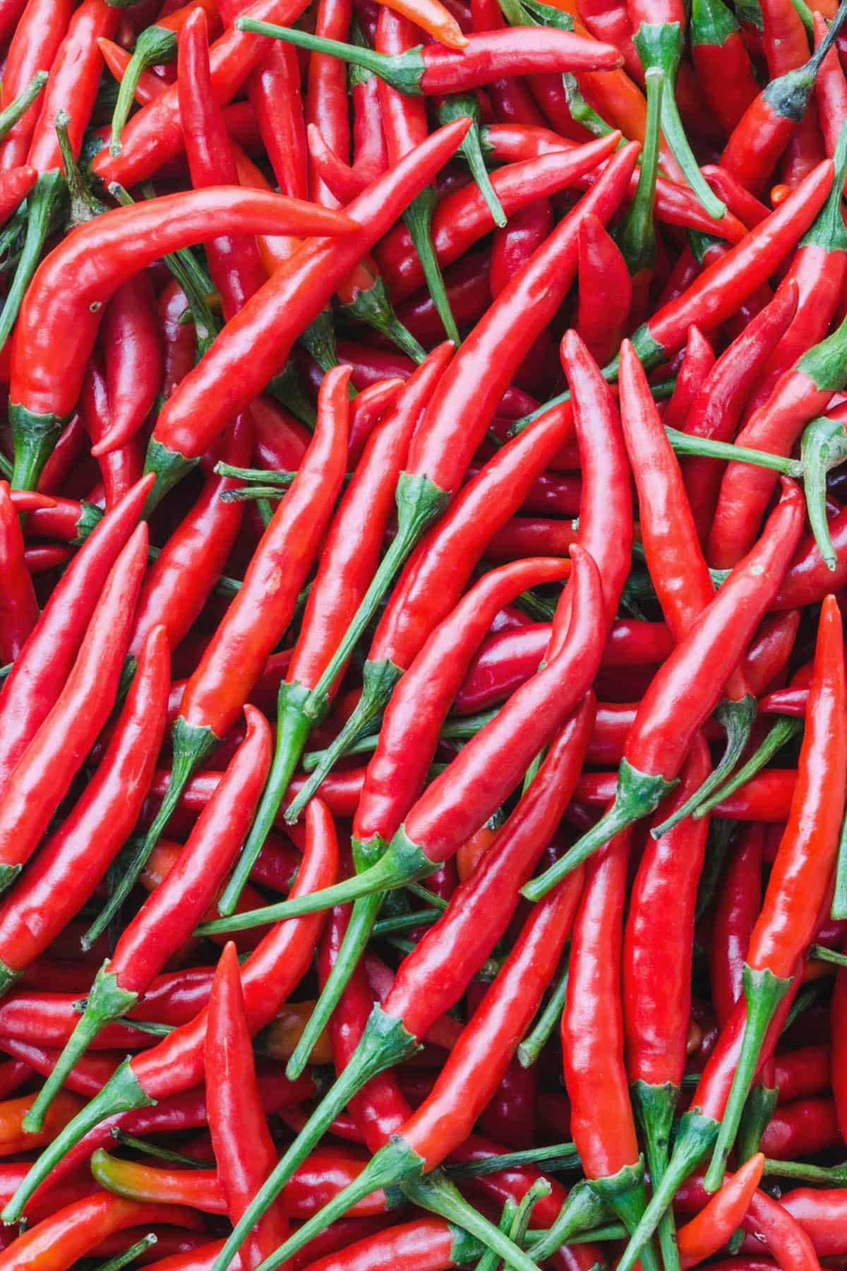 Cayenne Red Pepper 500g