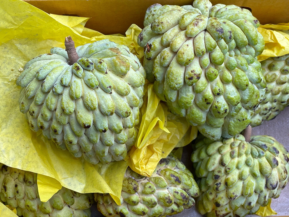 Custard Apple Each