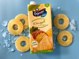 Domty pinapple 1l