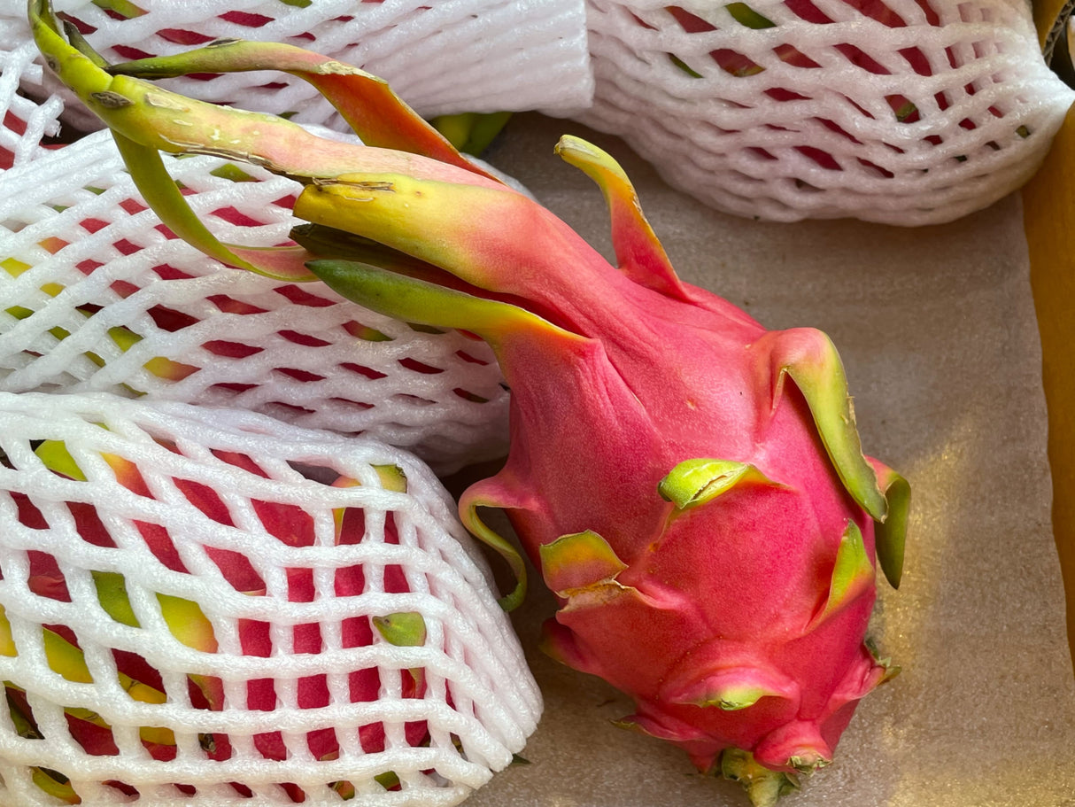 Dragon Fruit Each