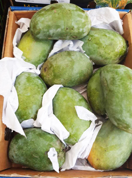 Egyptian Timor mango 2kg