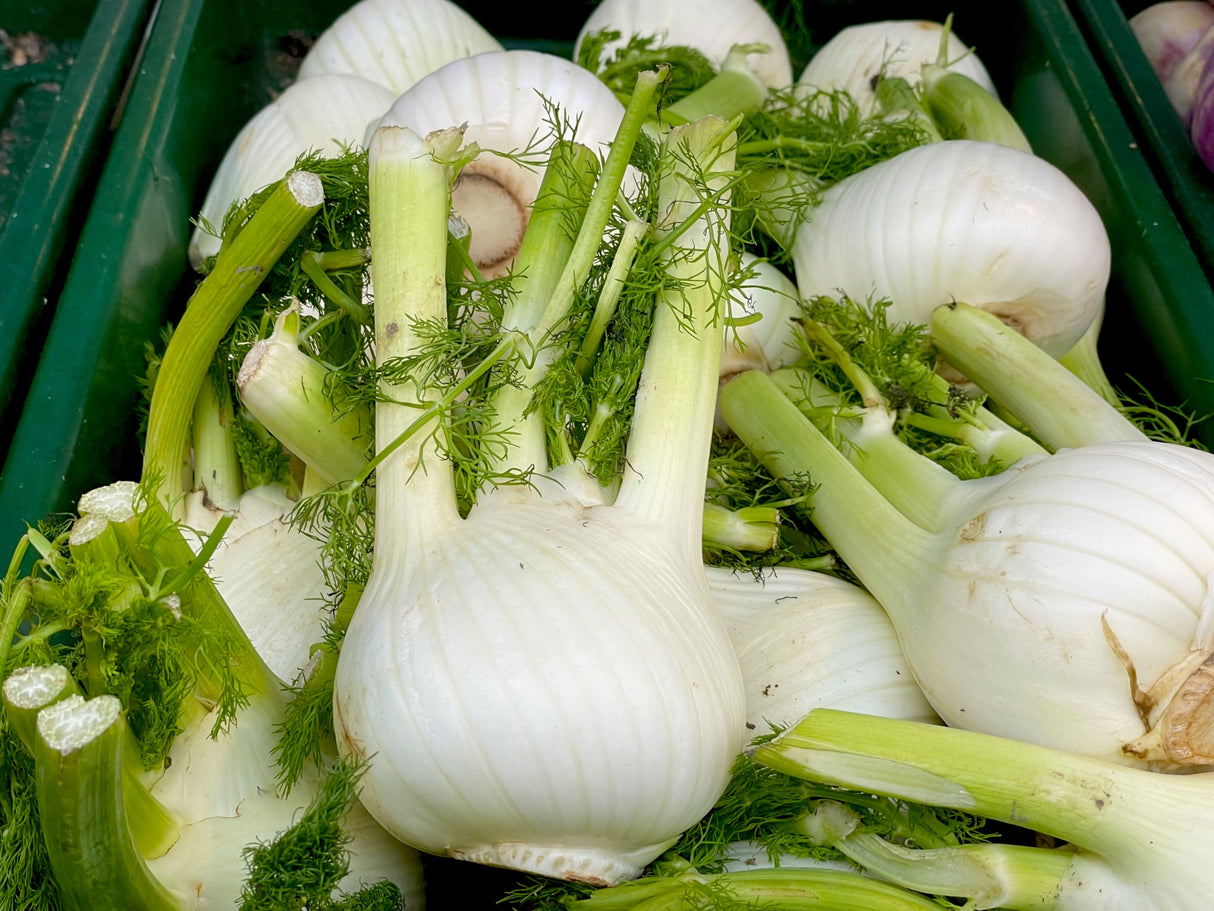 Fennel 500g