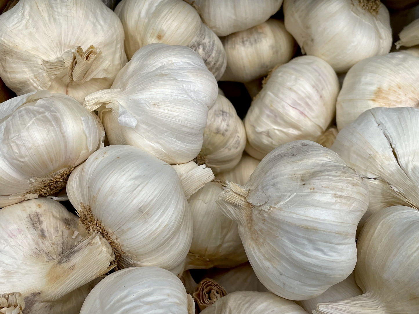 Garlic 175g