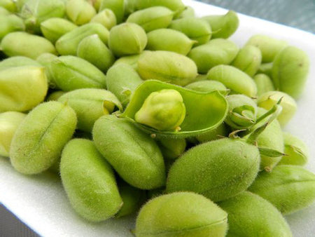 Green chickpeas apx 200g