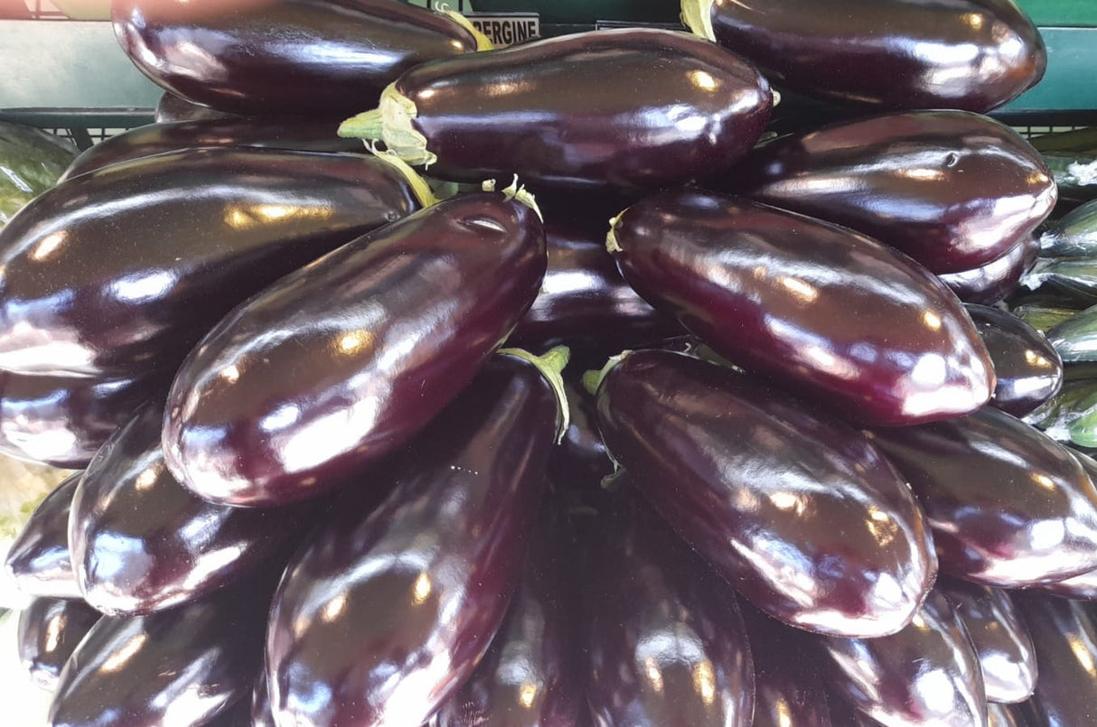 Large Aubergine 500g