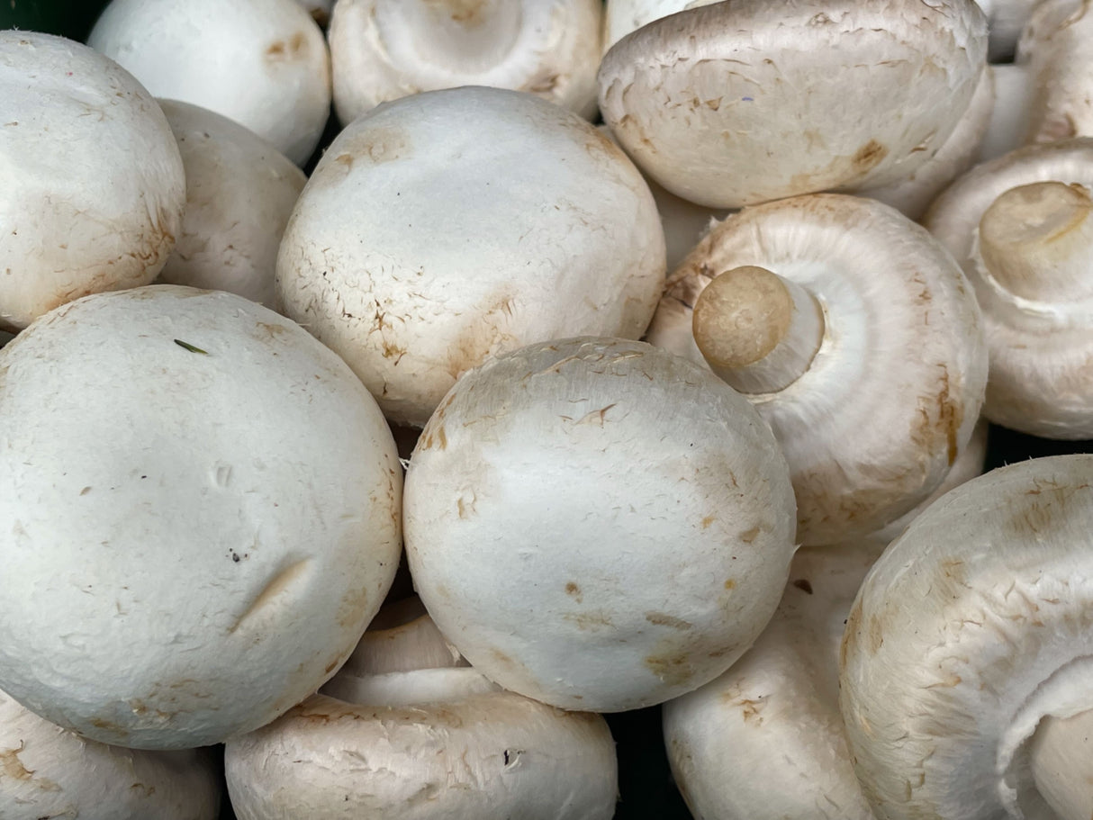 Mushroom 500g