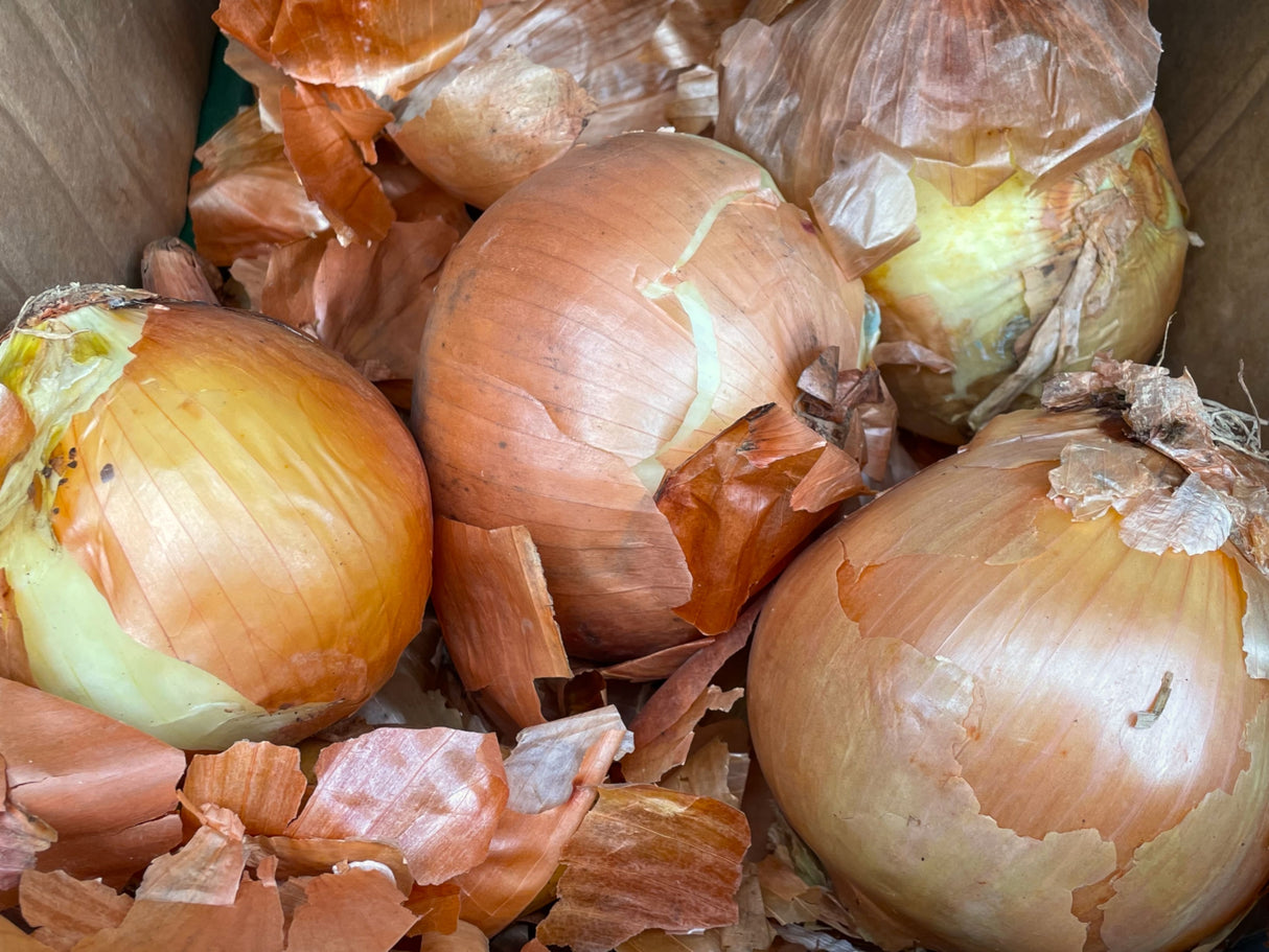 Onion 500g