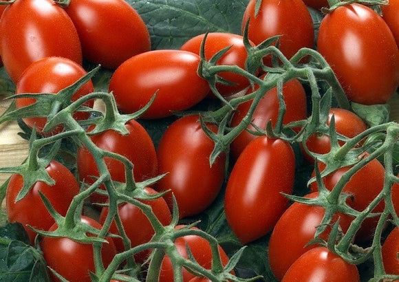 Plum Vine Tomato 500g