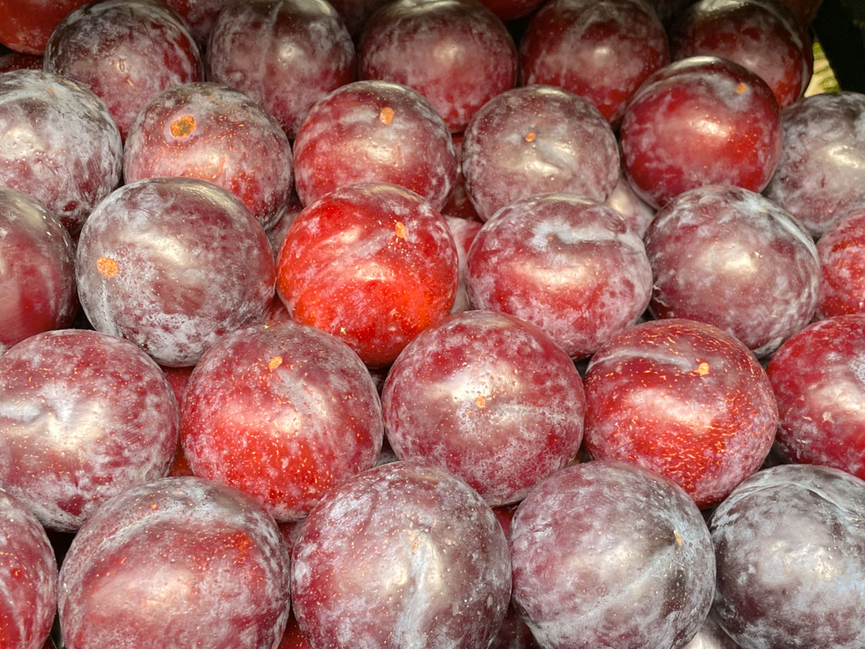 Red Plum 500g