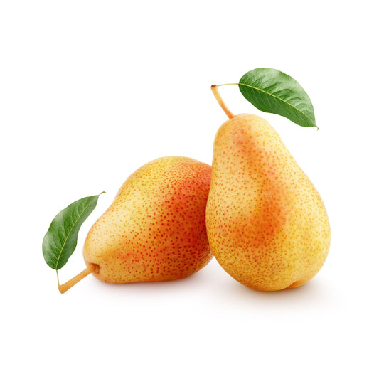 Rosemary Pears  - Pack of 4