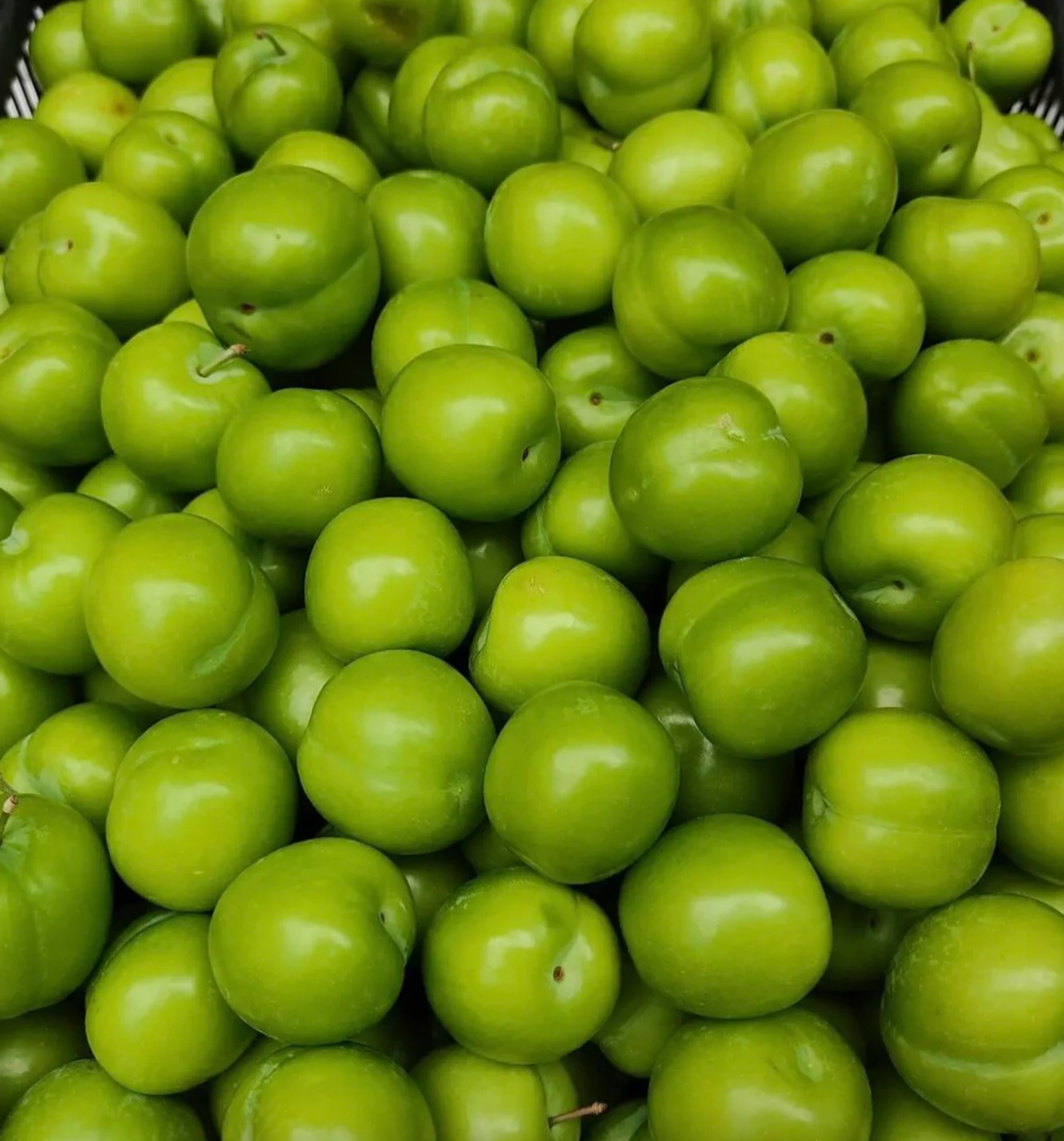 Green plum 500g