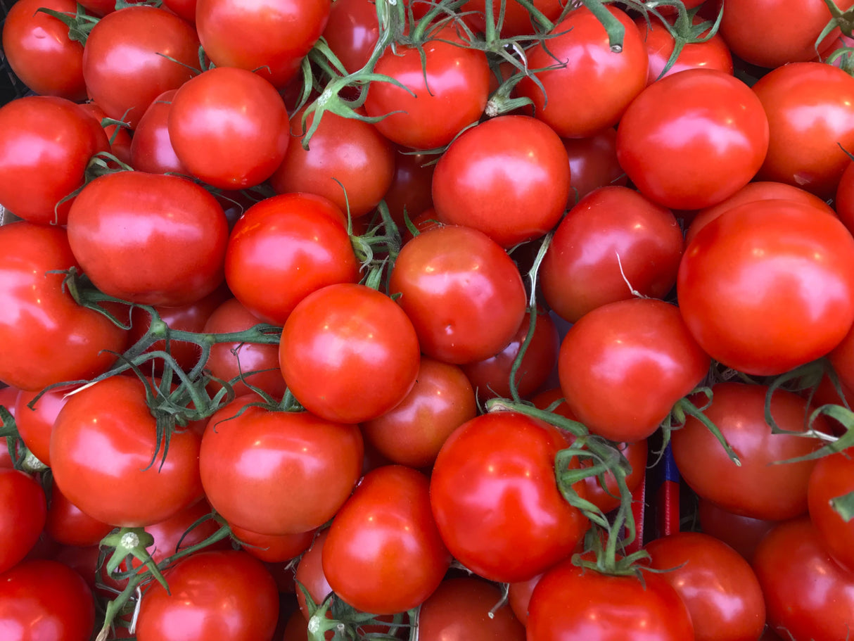 Tomato 500g