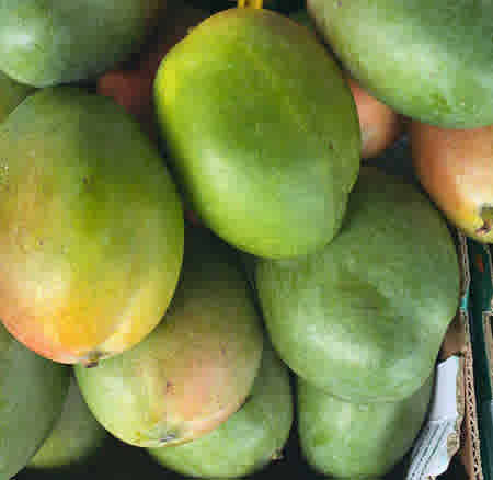 Brazilian Mango Each