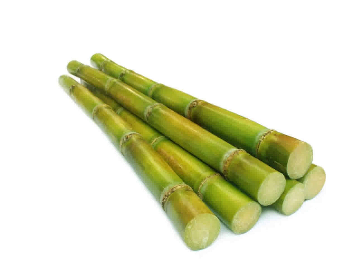 Cane sugar apx 500g