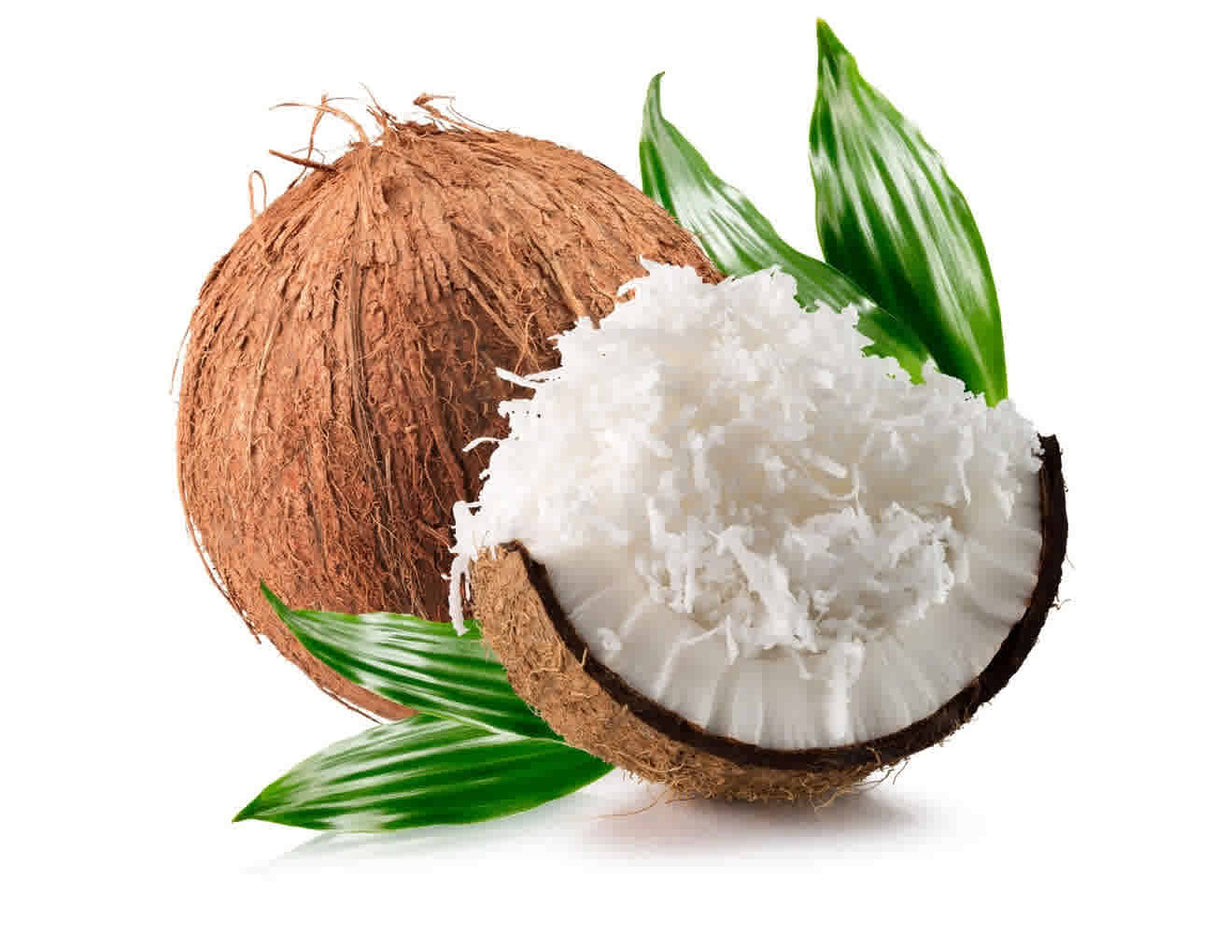 Coconut