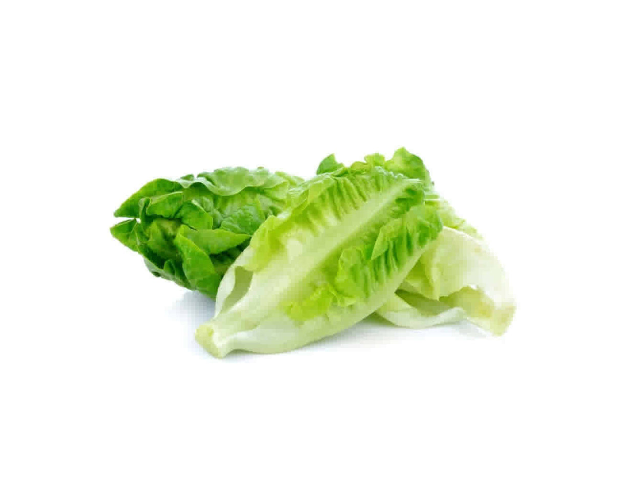 Cos Lettuce Each