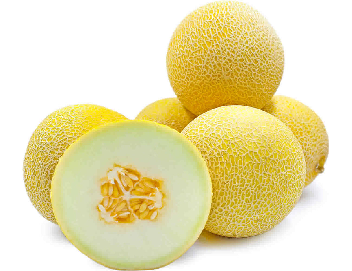 Galia Melon Each