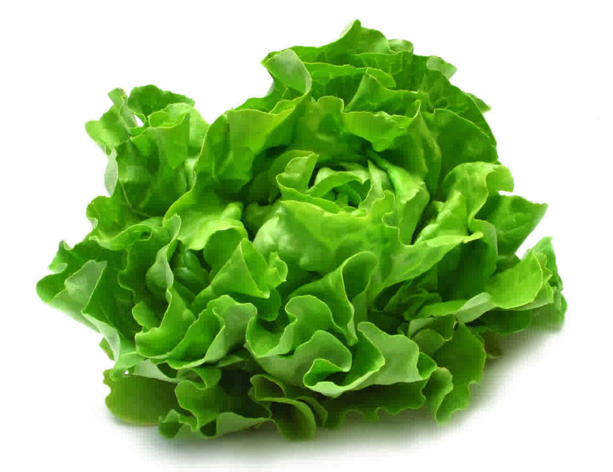 Lettuce Each