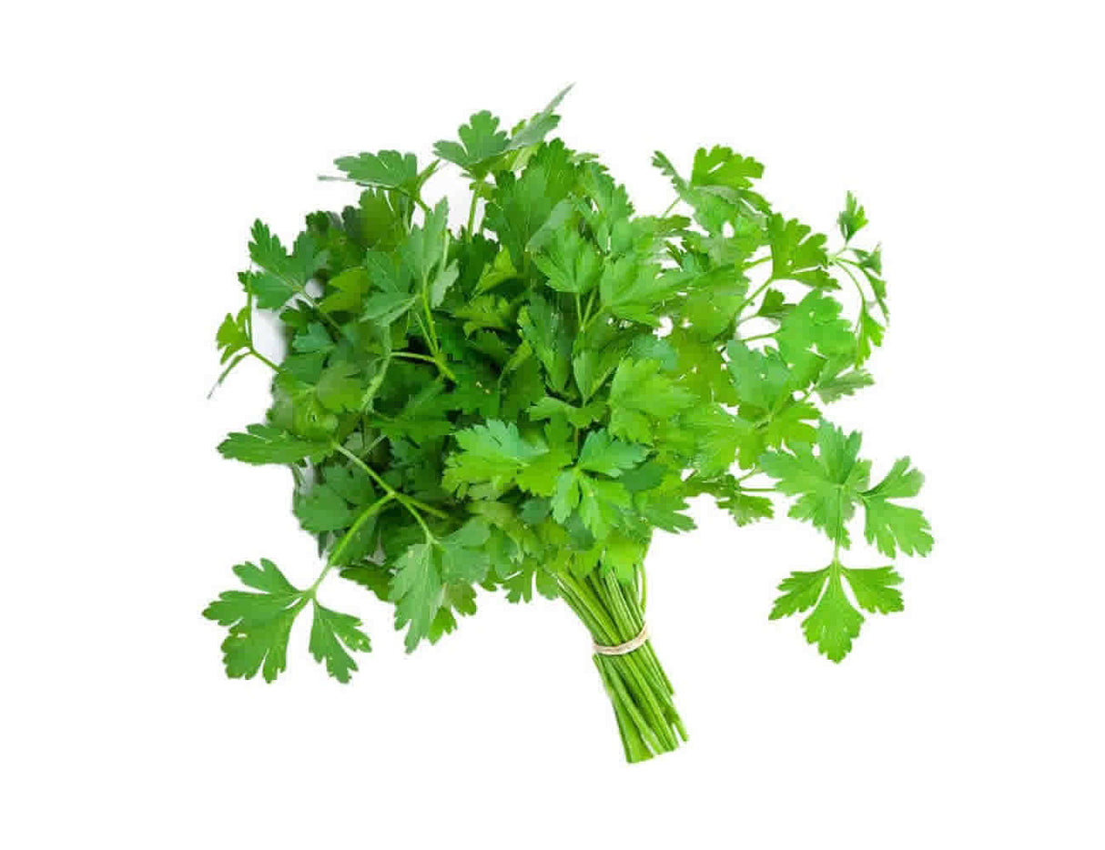 Parsley Bunch