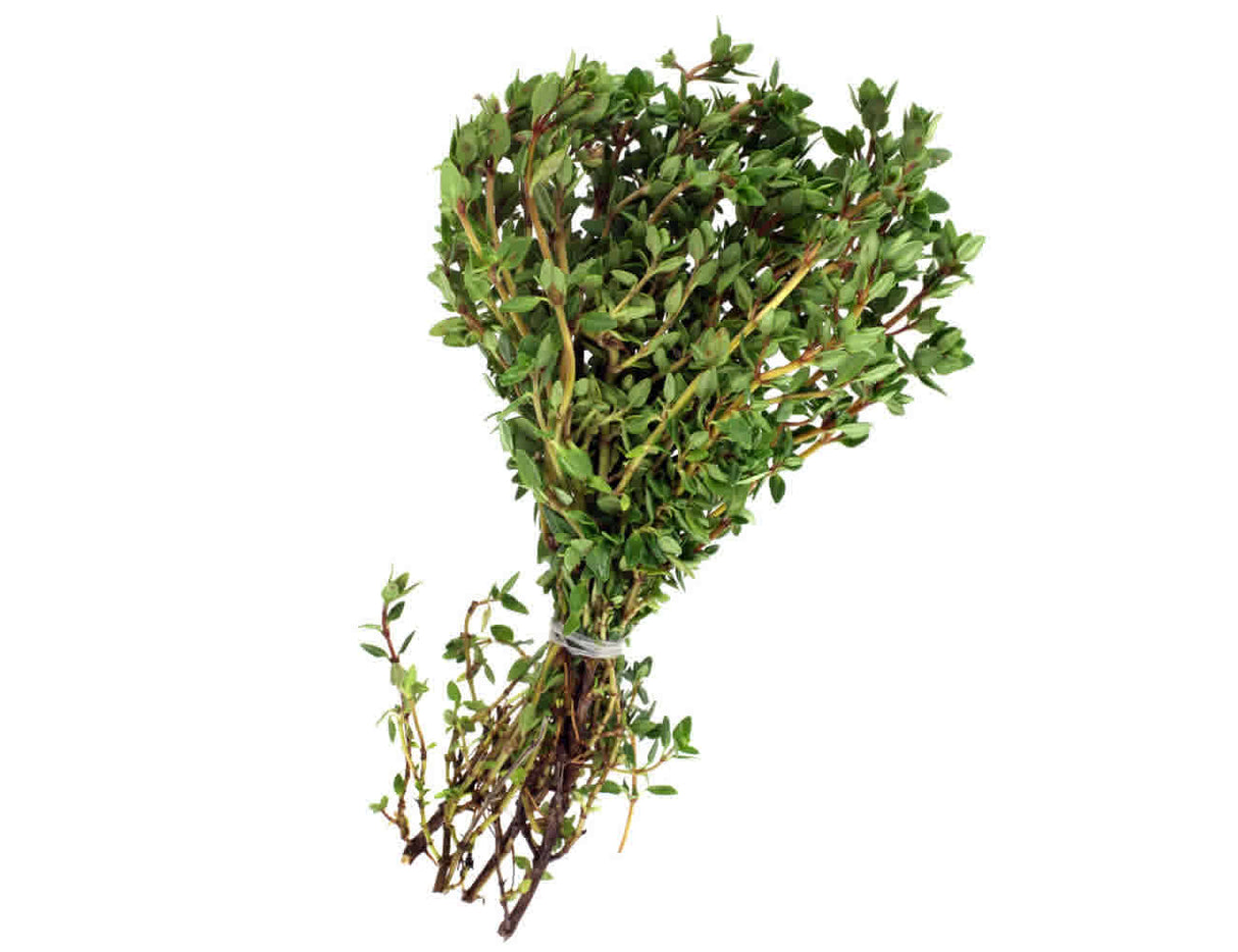 Watts Farms Fresh Thyme 50G